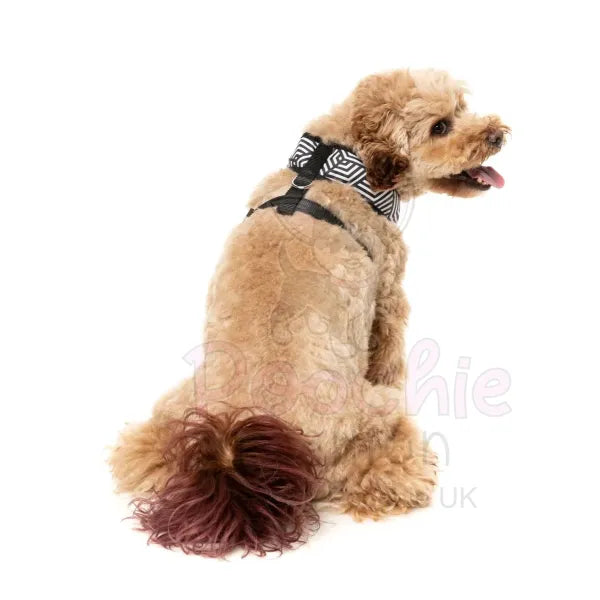 Fitzroy Dog Harness by Fuzzyard - Fuzzyard - 5