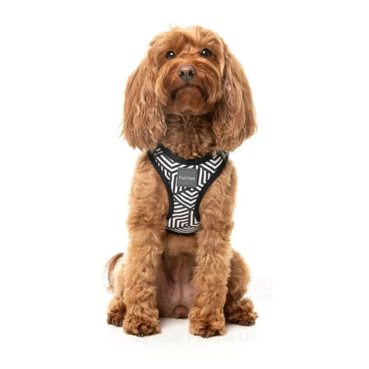 Fitzroy Step in Dog Harness by Fuzzyard - Fuzzyard - 2