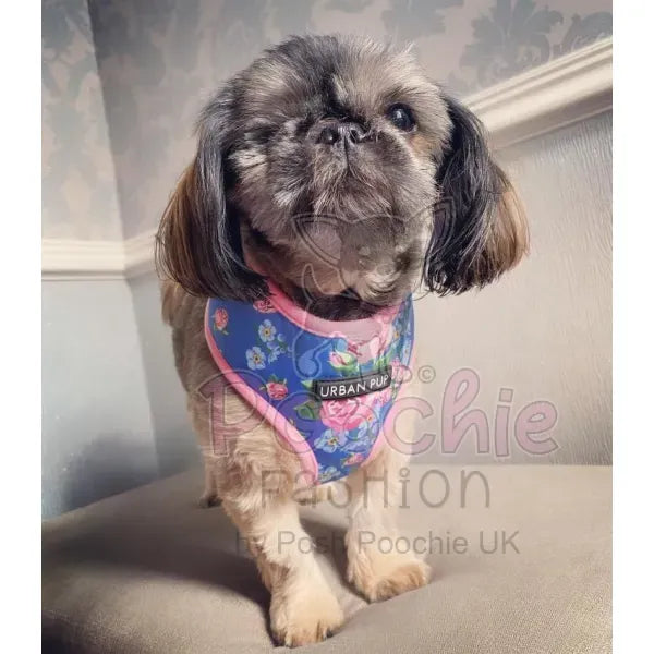Floral Burst Dog Harness - Sale - 4