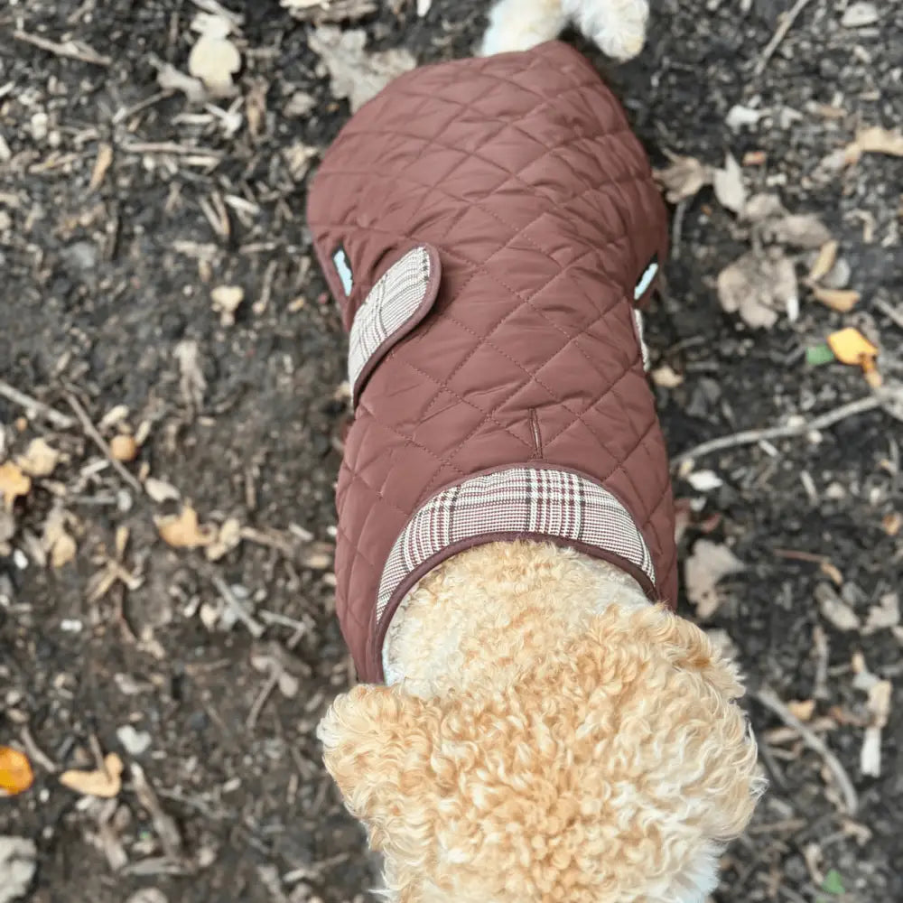 Foxbury Plaid Quilted Dog Coat – Water-resistant Tweed & Fleece Jacket - Pupclub Couture - 7