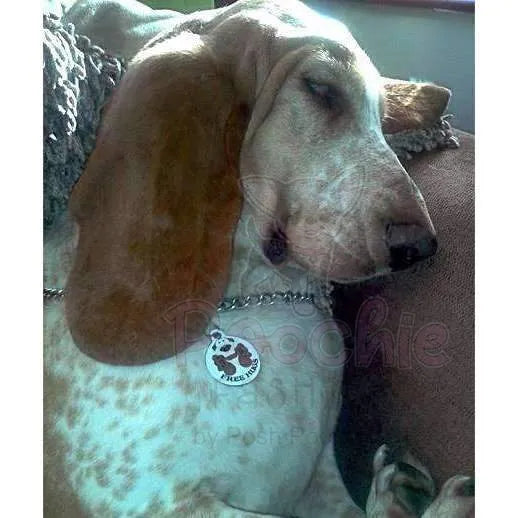 Free Hugs Dog Id Tag Ps Pet Tags 2