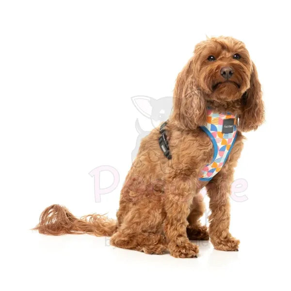 Fresh Zest Dog Harness by Fuzzyard Fuzzyard 4