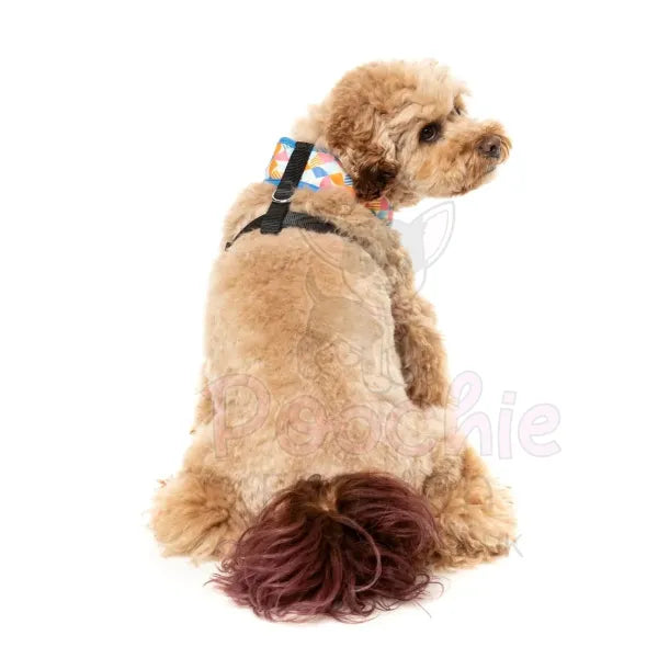 Fresh Zest Dog Harness by Fuzzyard Fuzzyard 5