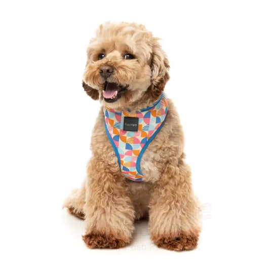 Fresh Zest Dog Harness by Fuzzyard - Fuzzyard - 2