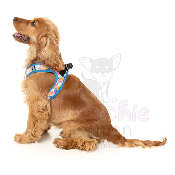Fresh Zest Step in Dog Harness by Fuzzyard Fuzzyard 5