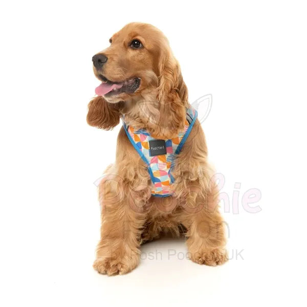 Fresh Zest Step in Dog Harness by Fuzzyard Fuzzyard 6
