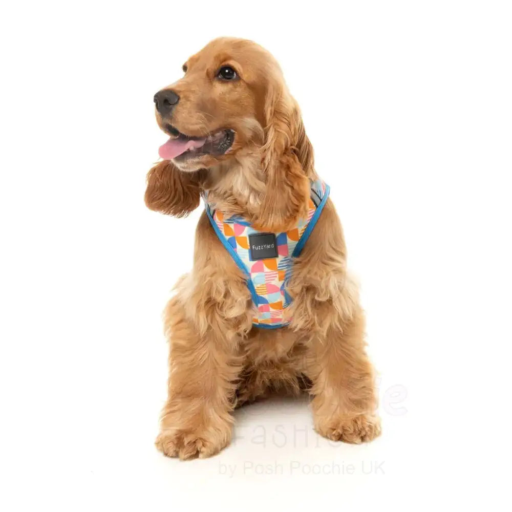 Fresh Zest Step in Dog Harness by Fuzzyard - Fuzzyard - 6