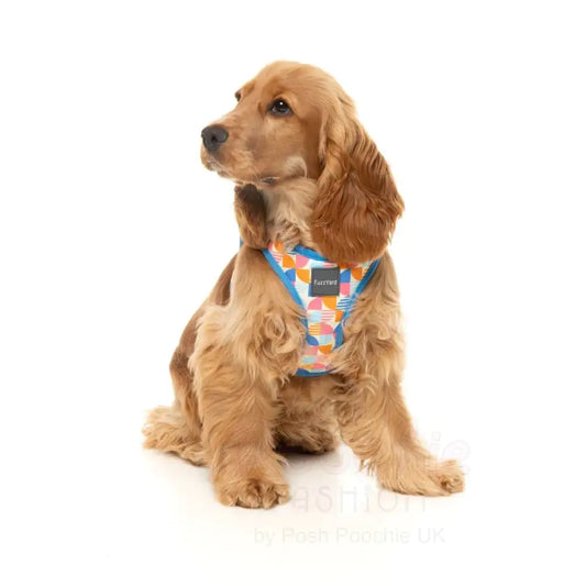Fresh Zest Step in Dog Harness by Fuzzyard - Fuzzyard - 2