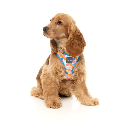 Fresh Zest Step in Dog Harness by Fuzzyard - Fuzzyard - 2