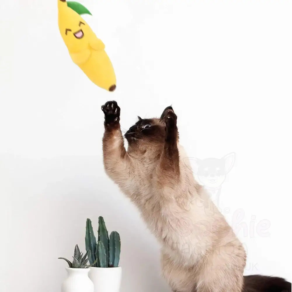 Fruity Plush Catnip Toys 4 Pack - Posh Catz - 4