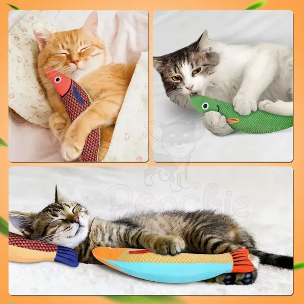 Funky Fish Cat Toys 3 Pack - Posh Catz - 2