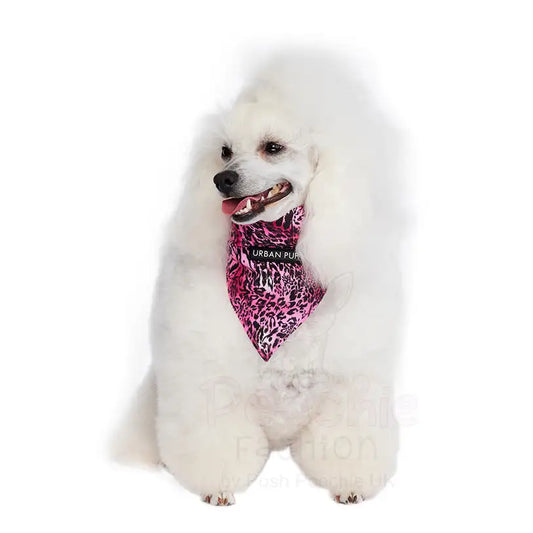 Funky Pink Leopard Print Dog Bandana Collar - Urban - 2