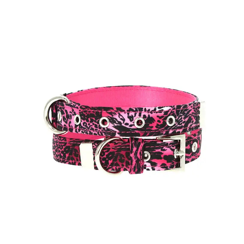 Leopard print dog sales collar