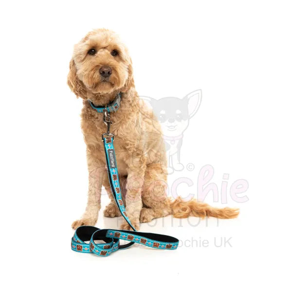 Fuzz Bear Dog Collar by Fuzzyard Fuzzyard 2