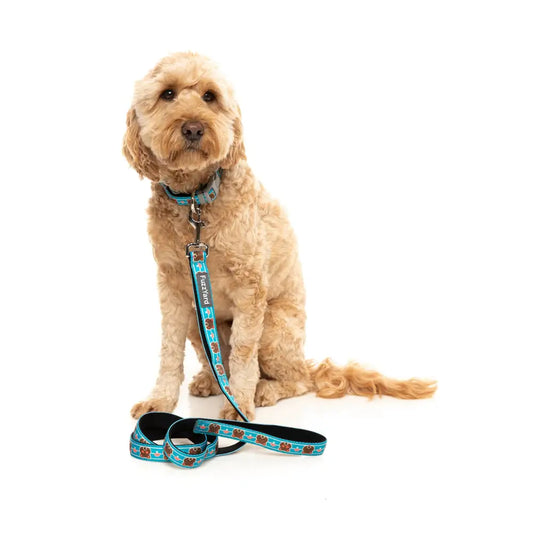 Fuzz Bear Dog Collar by Fuzzyard - Fuzzyard - 2