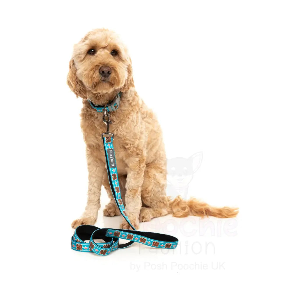 Fuzz Bear Dog Lead by Fuzzyard - Fuzzyard - 2
