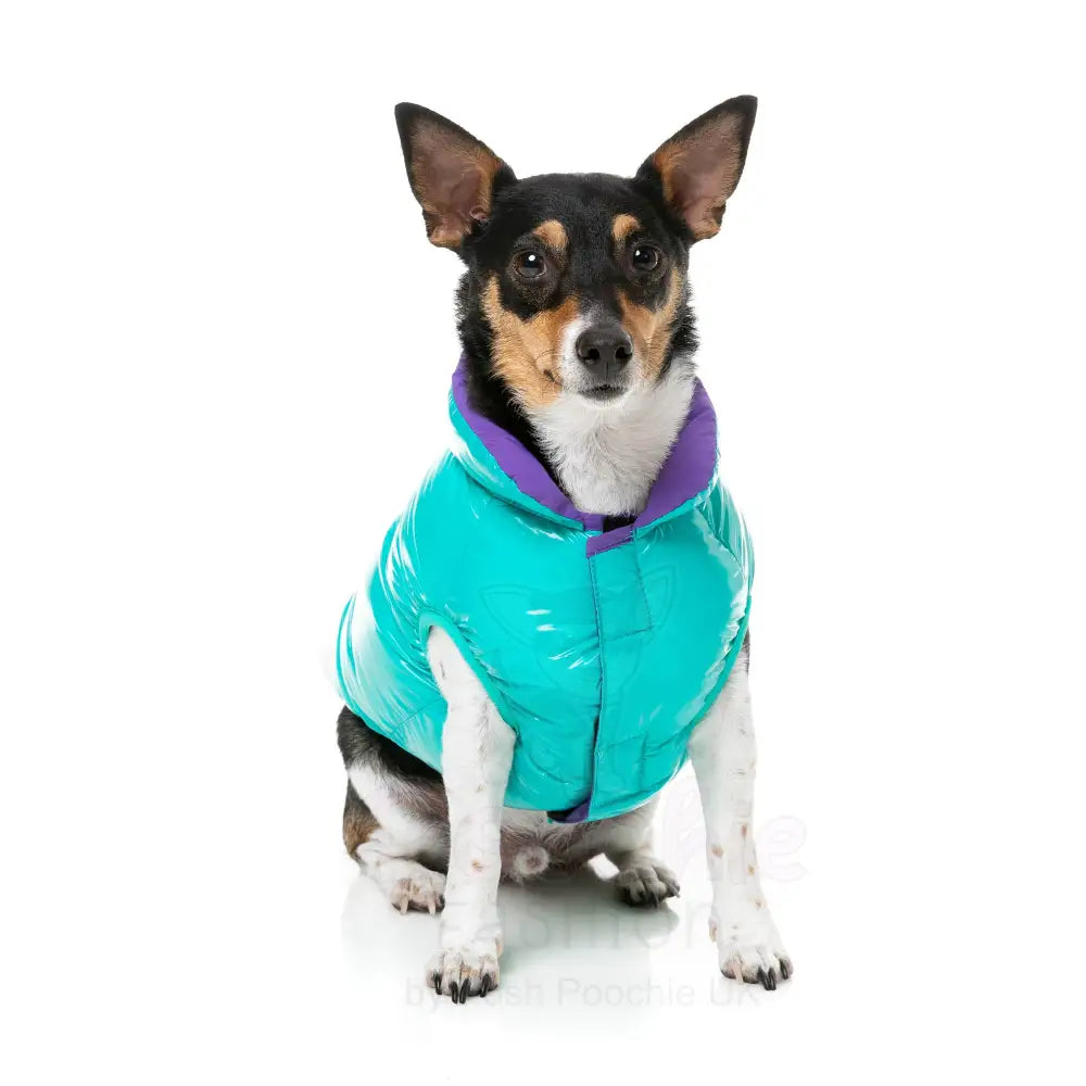 Fuzzyard Amor Puffer Jacket - Turquoise - Fuzzyard - 5