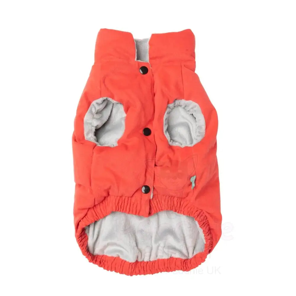 Fuzzyard Ashbury Dog Jacket - Vintage Red - Fuzzyard - 6