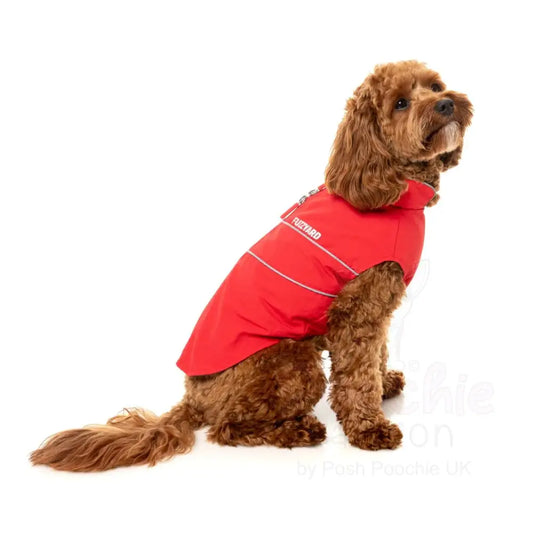Fuzzyard Breaker Dog Raincoat - Red - Fuzzyard - 2