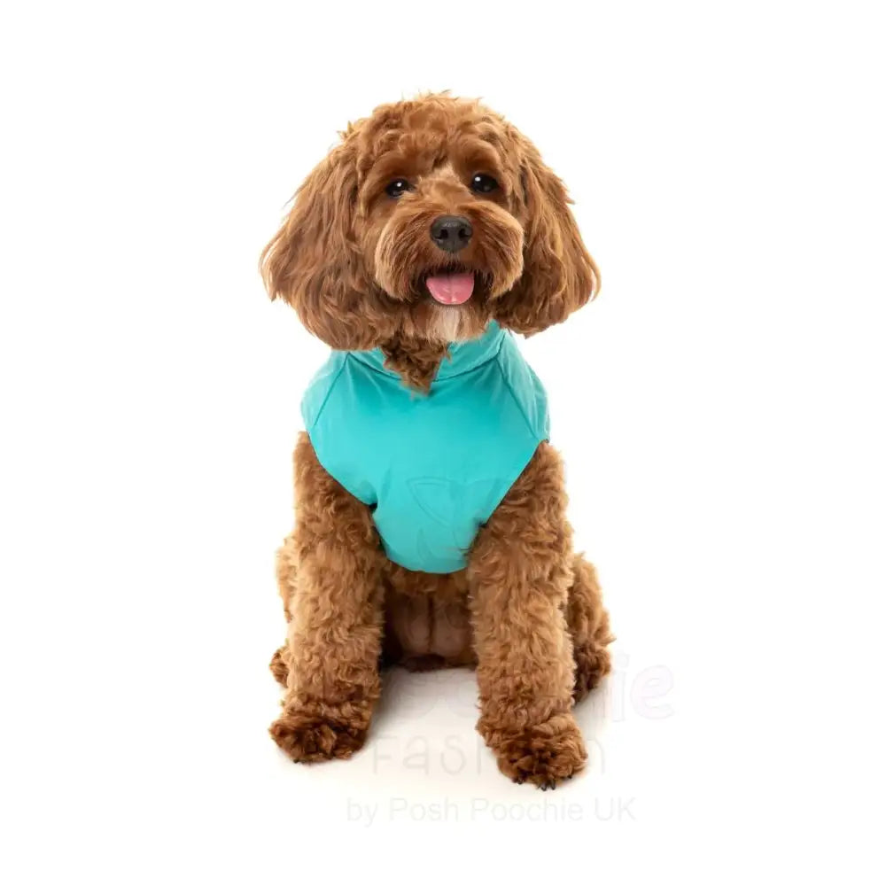 Fuzzyard Breaker Dog Raincoat - Teal - Fuzzyard - 8