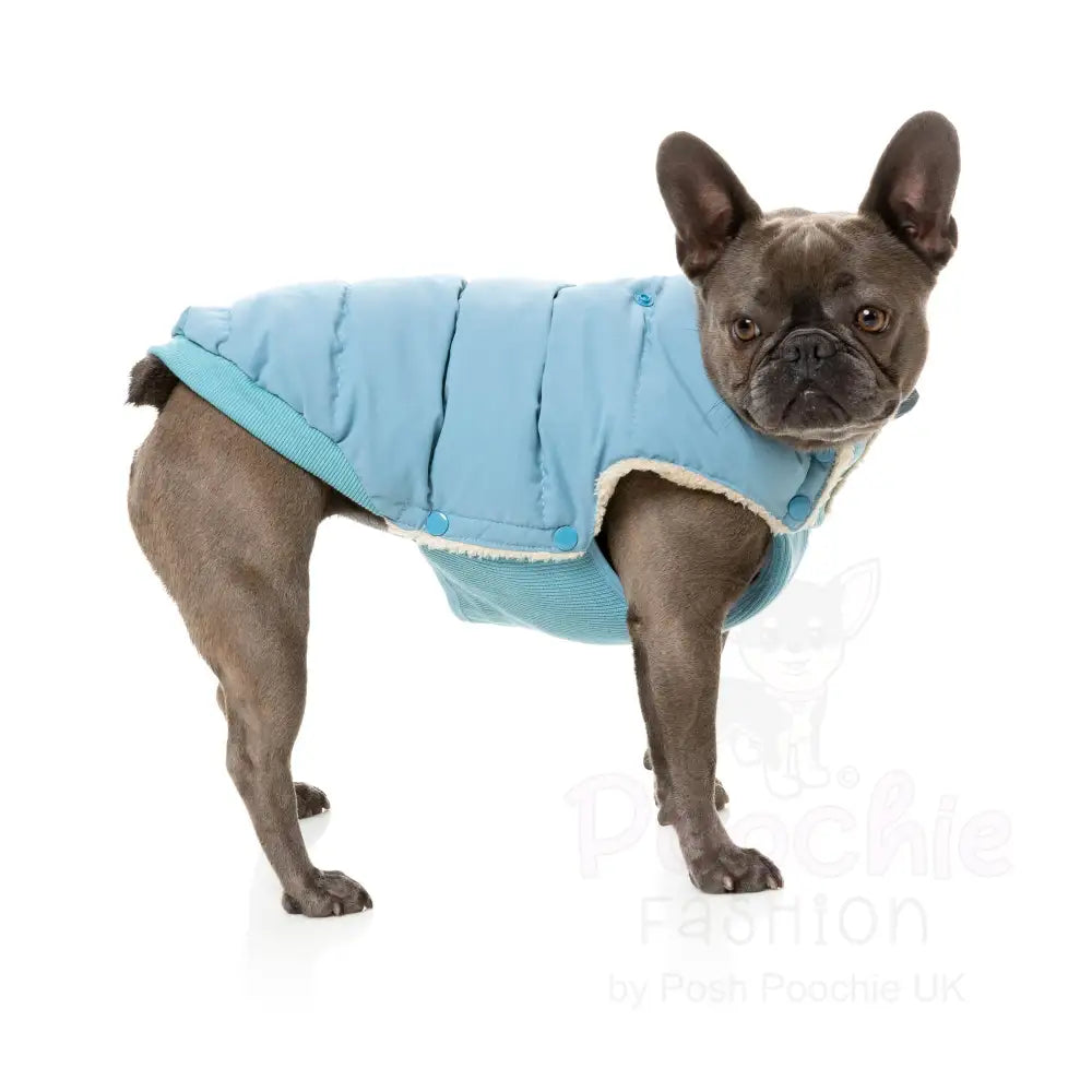 Fuzzyard Essential Puffer Jacket - Blue - Fuzzyard - 5