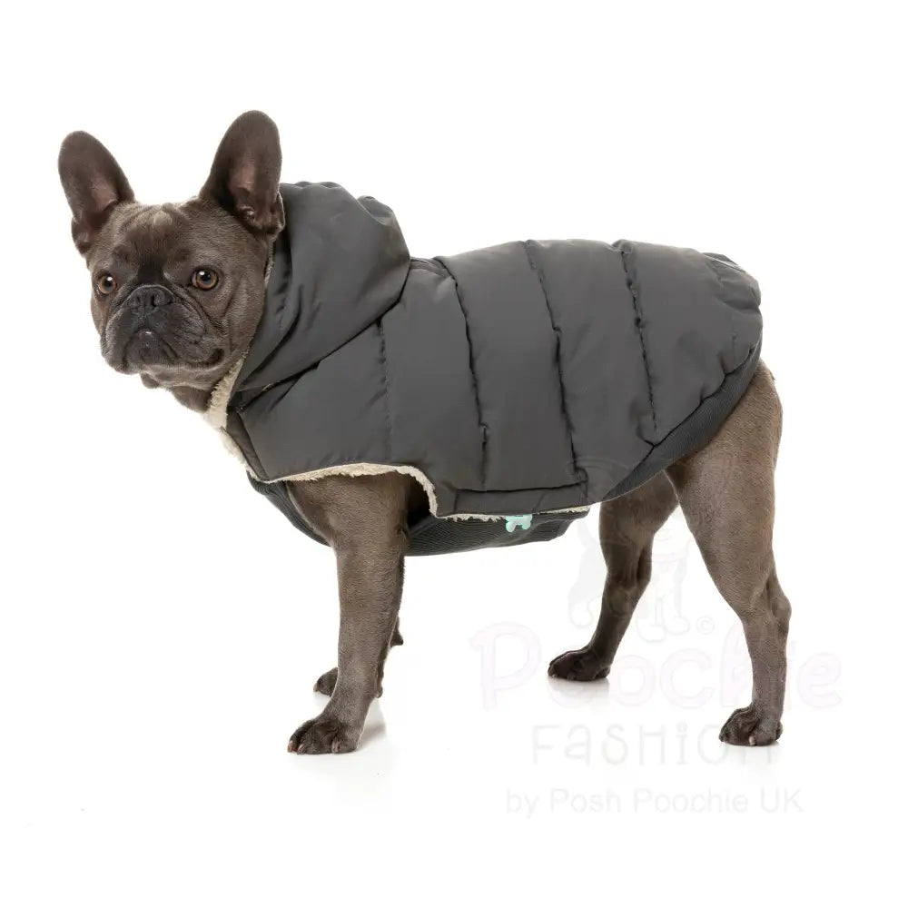 Fuzzyard Essential Puffer Jacket - Charcoal - Fuzzyard - 6