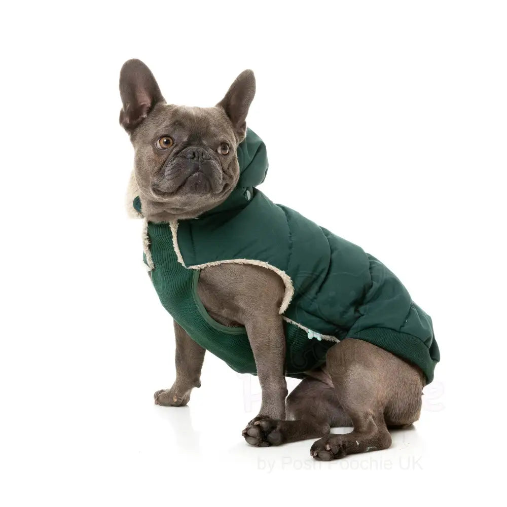 Fuzzyard Essential Puffer Jacket - Forest Green - Fuzzyard - 6