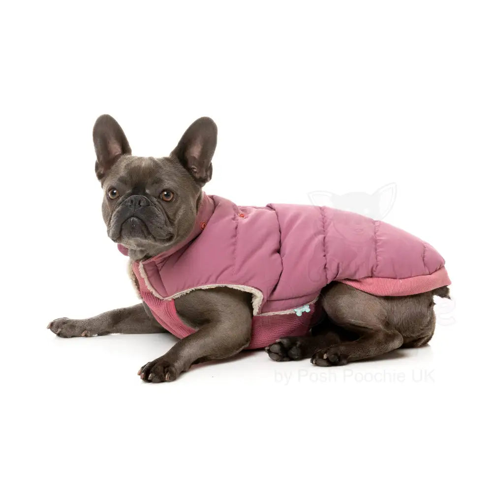 Fuzzyard Essential Puffer Jacket - Mauve Pink - Fuzzyard - 6