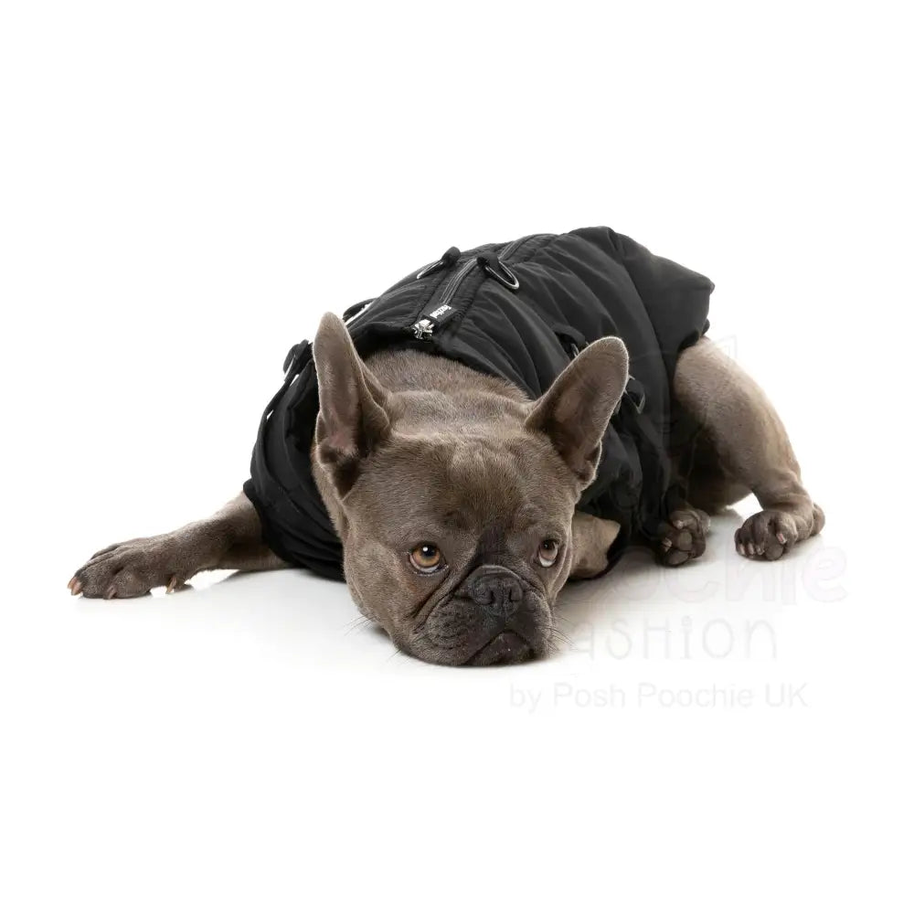 Fuzzyard Flash Dog Harness Jacket - Black - Fuzzyard - 7