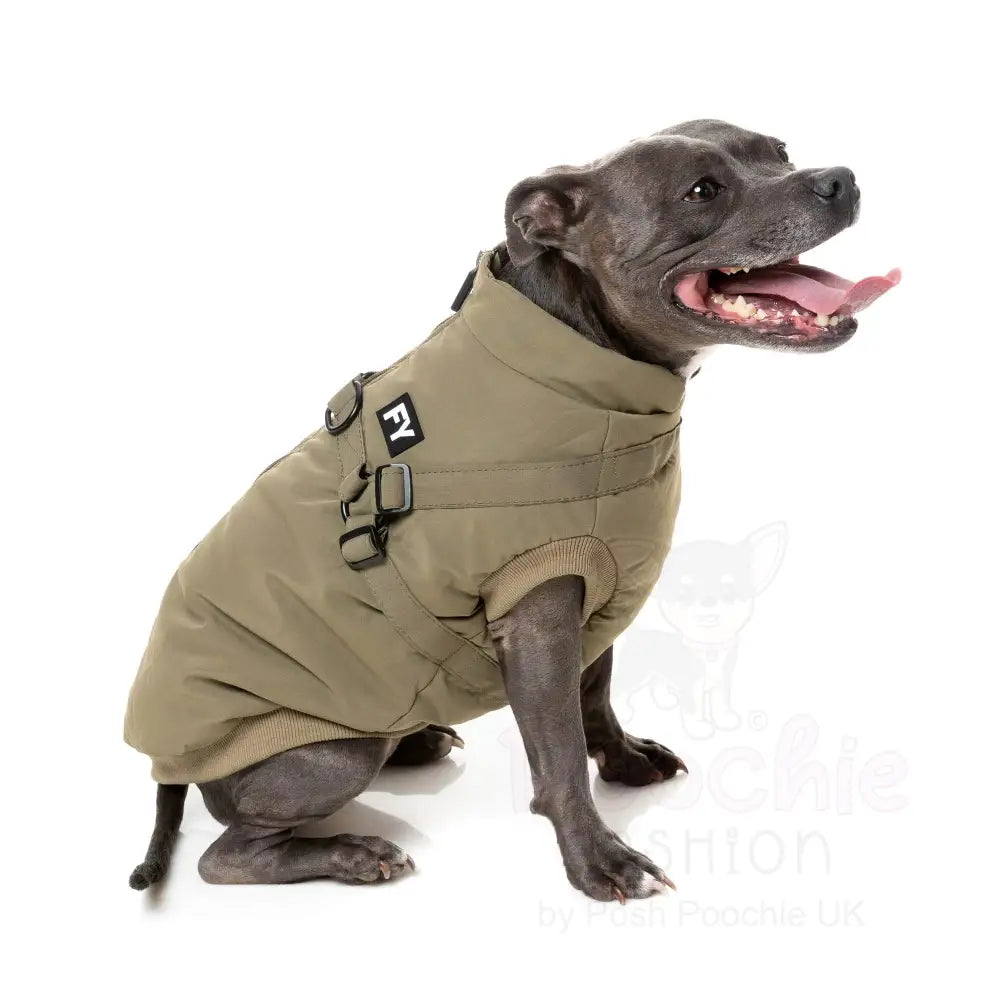 Fuzzyard Flash Dog Harness Jacket - Khaki - Fuzzyard - 7