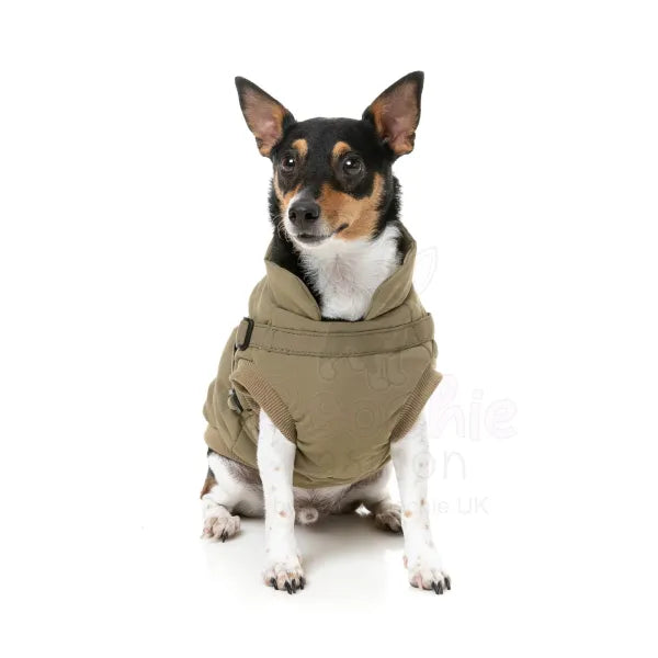 Fuzzyard Flash Dog Harness Jacket - Khaki - Fuzzyard - 5