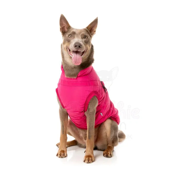 Fuzzyard Flash Dog Harness Jacket - Magenta - Fuzzyard - 5