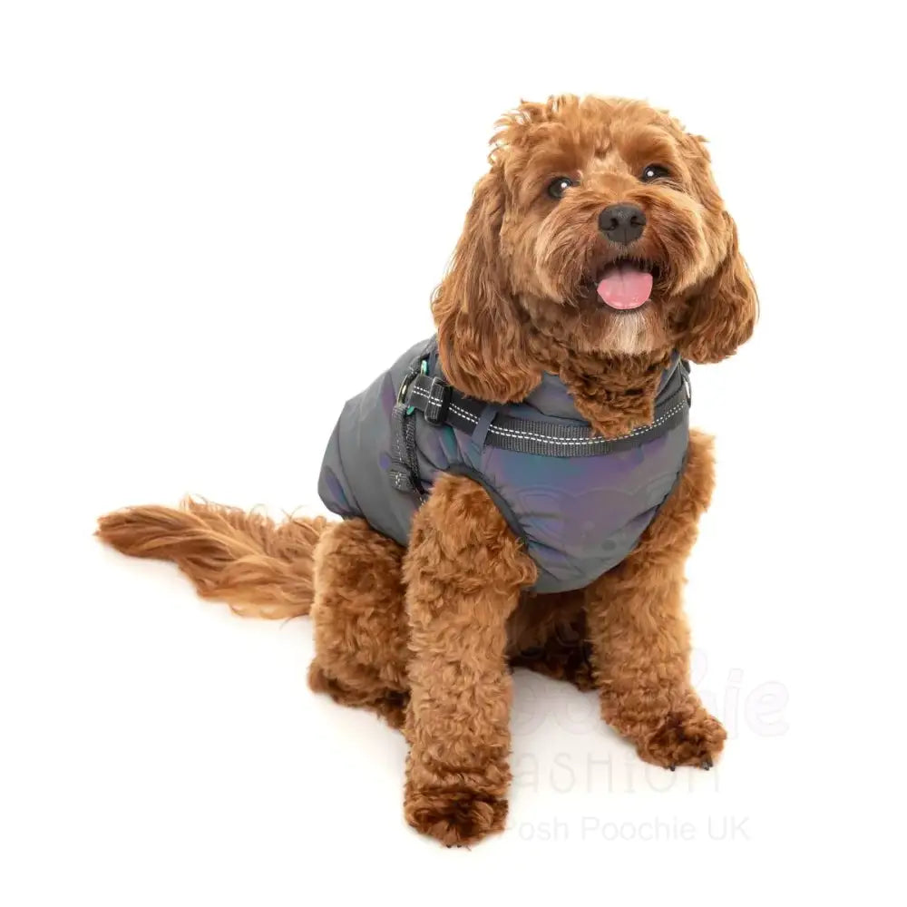 Fuzzyard Flash Dog Harness Jacket - Reflective - Fuzzyard - 9