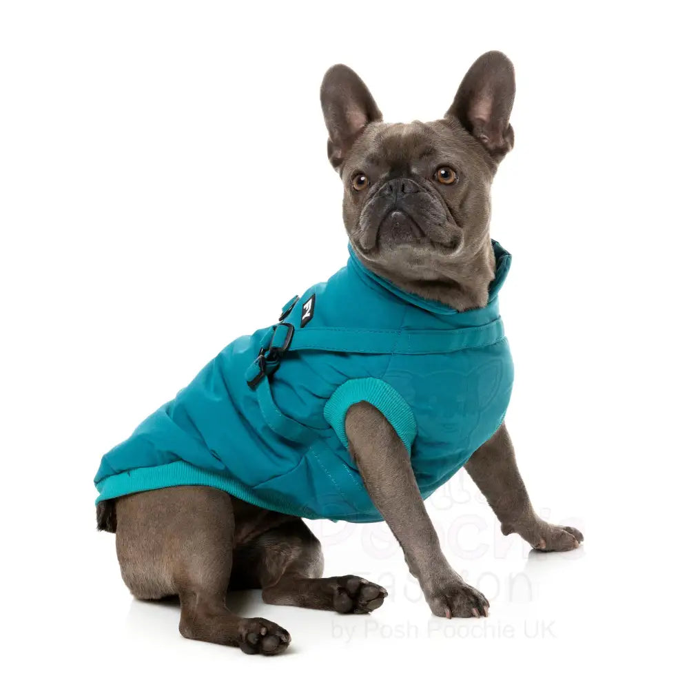 Fuzzyard Flash Dog Harness Jacket - Teal - Fuzzyard - 6