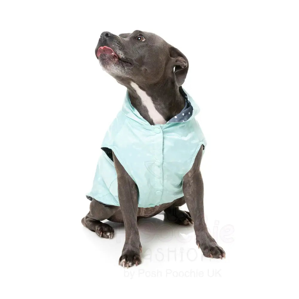 Fuzzyard Flipside 24 Reversible Dog Raincoat - Mint - Fuzzyard - 7