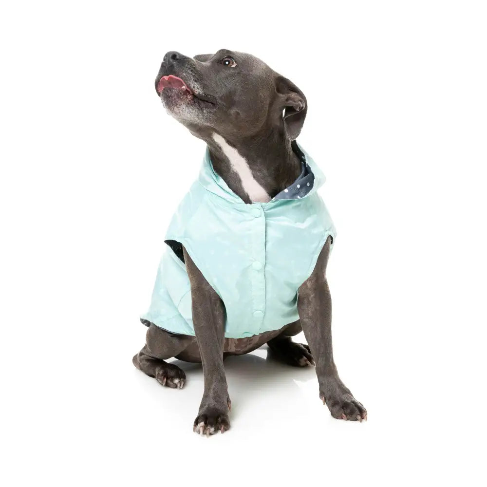 Fuzzyard Flipside 24 Reversible Dog Raincoat - Mint - Fuzzyard - 7