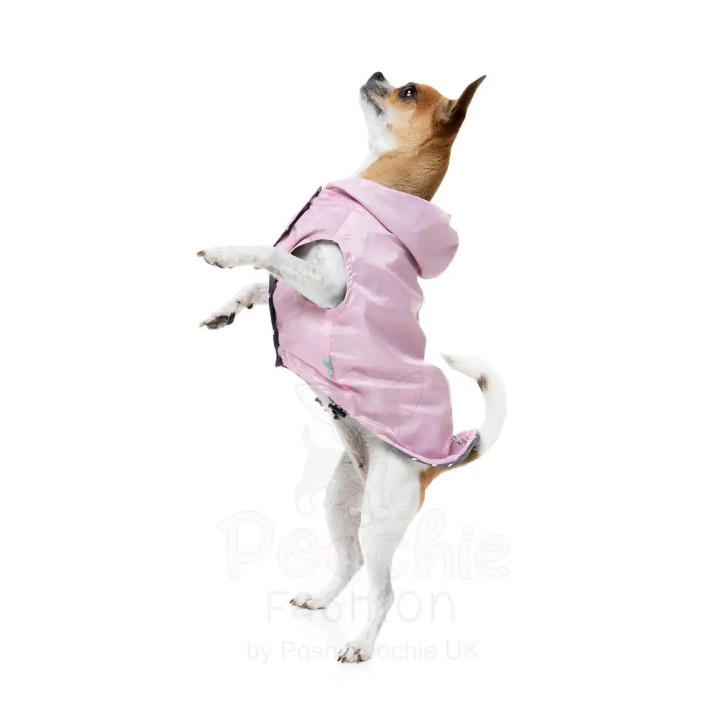 Fuzzyard Flipside 24 Reversible Dog Raincoat - Pink - Fuzzyard - 9