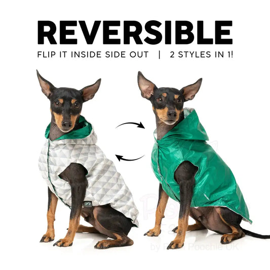 Fuzzyard Flipside Reversible Dog Raincoat - Green - Fuzzyard - 2
