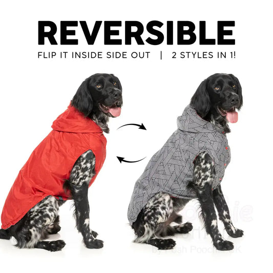 Fuzzyard Flipside Reversible Dog Raincoat - Red - Fuzzyard - 2