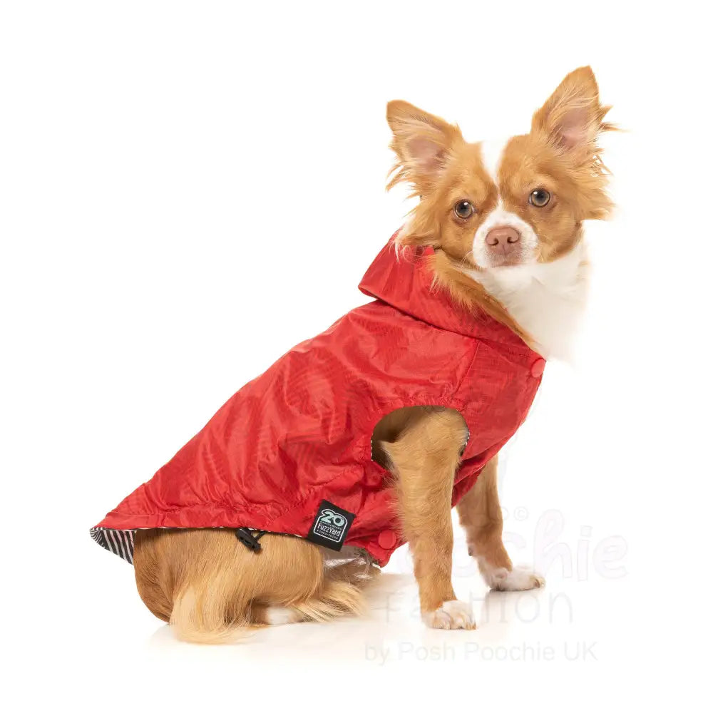 Fuzzyard Flipside Reversible Dog Raincoat - Red - Fuzzyard - 9