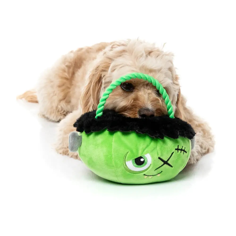 Fuzzyard Franken Basket Plush Halloween Dog Toy - Fuzzyard - 6