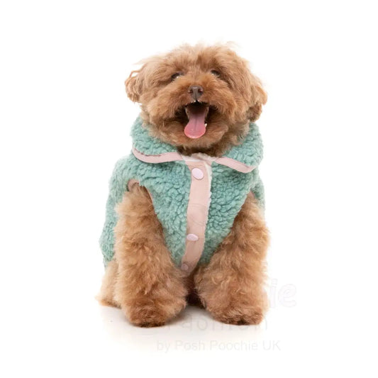 Fuzzyard Hana Dog Jacket - Sage - Fuzzyard - 2