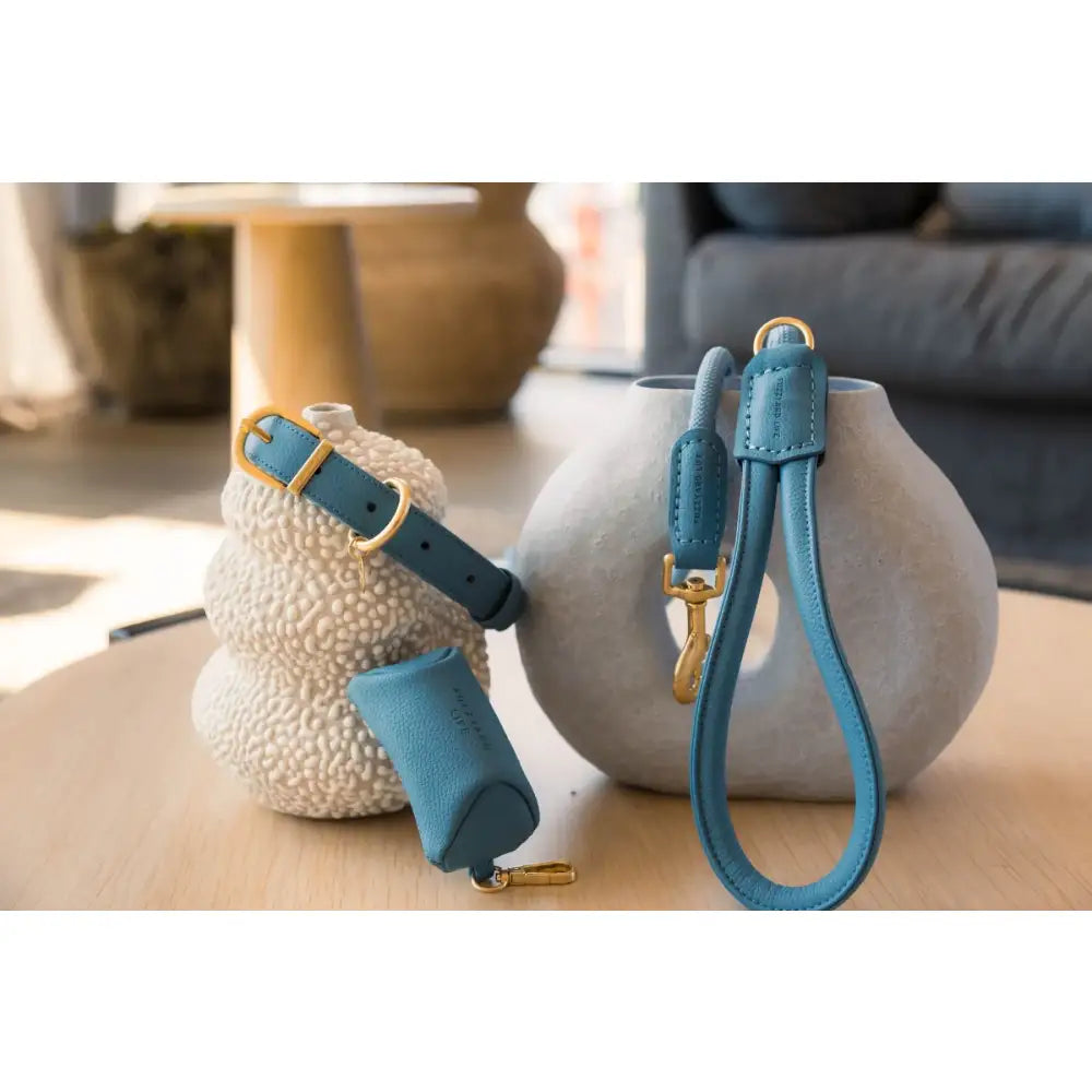 Fuzzyard Life Atelier Dog Collar in French Blue - Fuzzyard - 6