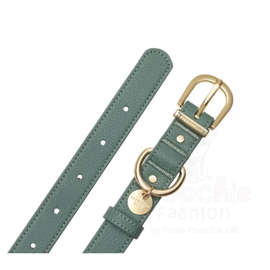 Fuzzyard Life Atelier Dog Collar in Myrtle Green - Fuzzyard - 2