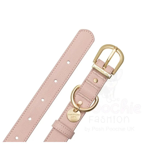 Fuzzyard Life Atelier Dog Collar in Soft Blush Pink - Fuzzyard - 2