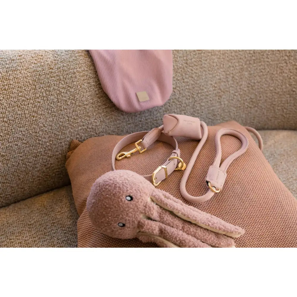 Fuzzyard Life Atelier Dog Collar in Soft Blush Pink - Fuzzyard - 6