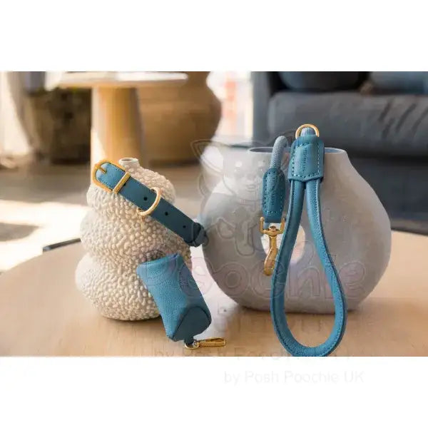 Fuzzyard Life Atelier Dog Rope Lead in French Blue - Fuzzyard - 5