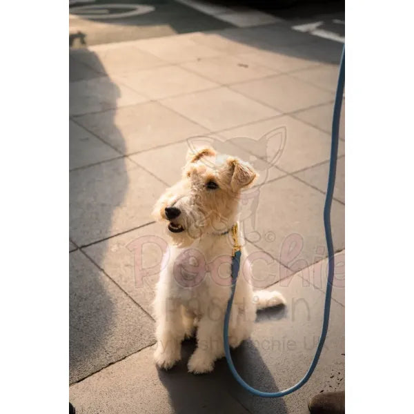 Fuzzyard Life Atelier Dog Rope Lead in French Blue - Fuzzyard - 3