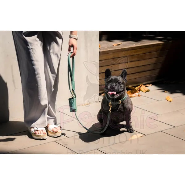 Fuzzyard Life Atelier Dog Rope Lead in Myrtle Green - Fuzzyard - 3
