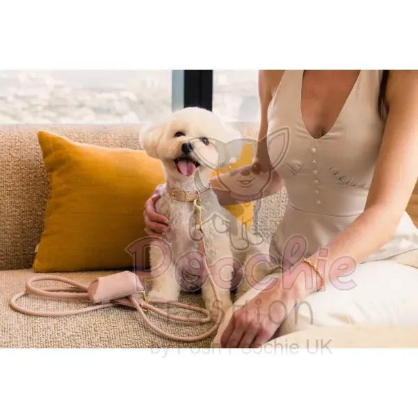 Fuzzyard Life Atelier Poop Bag Dispenser in Soft Blush Pink - Fuzzyard - 2